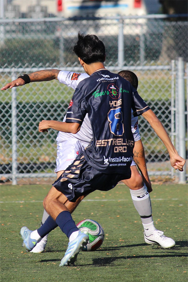 Liga Latina | Montreal