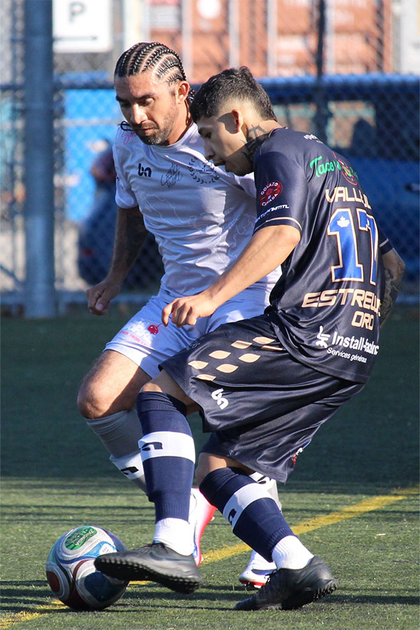 Liga Latina | Montreal